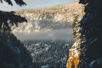 Aerial view of snow covered mountain against sky