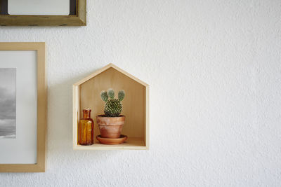 Potted plant against wall at home