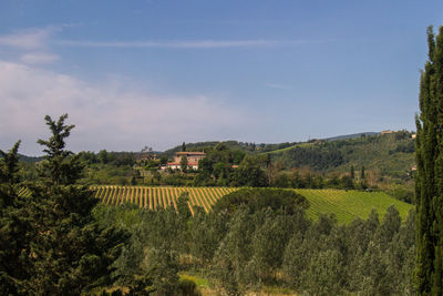 Scenic view of agricultural landscape against sky