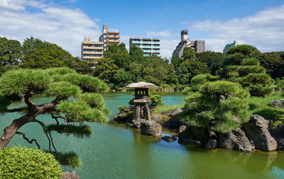 Plants and trees by lake against sky in park