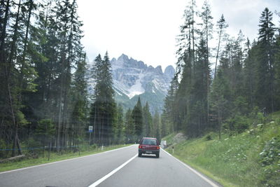 Car on road amidst trees in forest