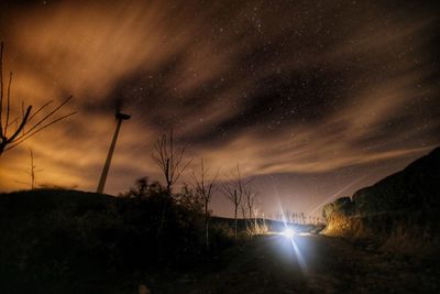 Illuminated trees against sky at night