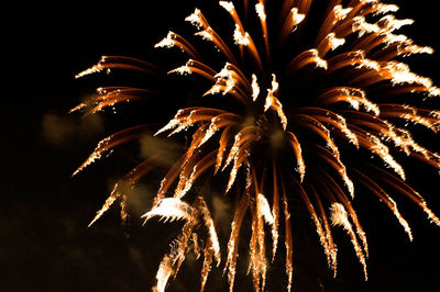 Low angle view of firework display at night