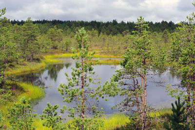 Scenic view of lake against sky