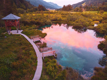 High angle view of lake by trees during autumn