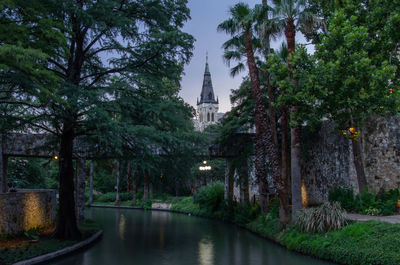 River amidst trees and buildings in city