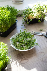 High angle view of chopped vegetables in bowl on table