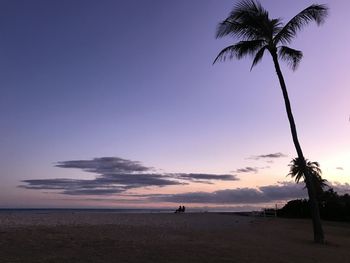 Silhouette palm trees on beach against sky during sunset