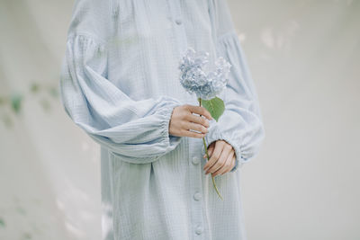 Midsection of woman holding blue hydrangeas against white background