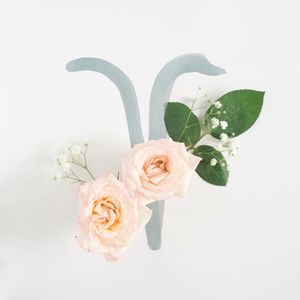 Close-up of rose bouquet against white background