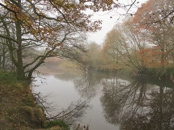 Reflection of trees in lake against sky