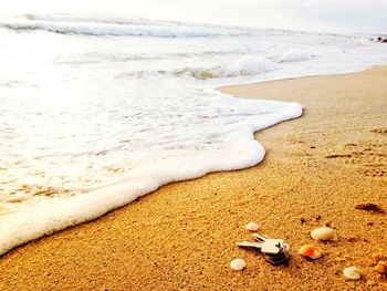 Scenic view of sea shore