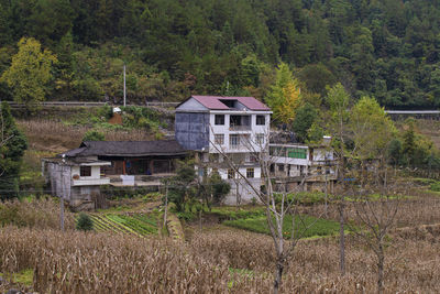 House on field by trees in forest