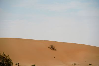 Scenic view of desert against sky