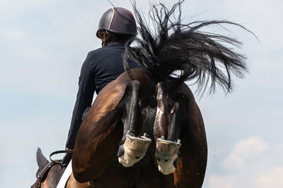 Man riding horse cart against sky