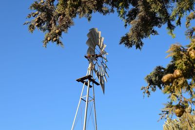 Low angle view of tree against clear blue sky