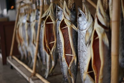 Dried fish for sale at market