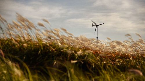 Wind turbines on field