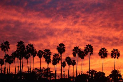 Silhouette palm trees against orange sky