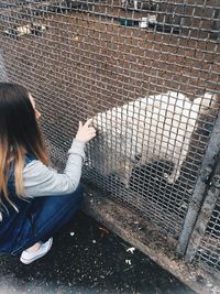 Woman looking at sheep through metal fence at farm