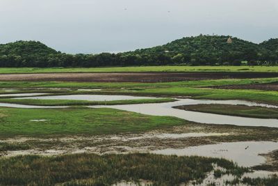 Scenic view of grassy field by lake against sky