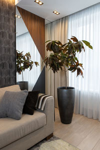 Interior of living room in neutral  tones. large sofa with decorative cushions, potted plant croton