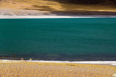 High angle view of miscanti lake