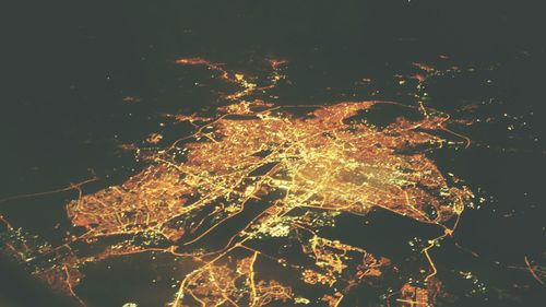 View of trees at night