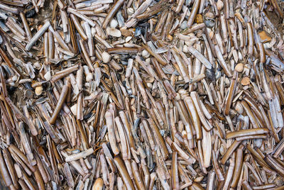 Full frame shot of dried fish