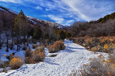 Winter snow mountain hiking trail views yellow fork park rose canyon copper mine salt lake city utah