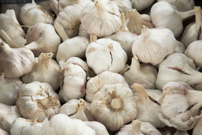 Full frame shot of garlic bulb