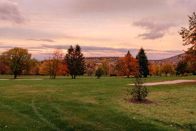 Trees on field against sky during sunset