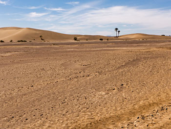 Scenic view of desert against sky