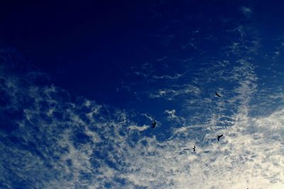Low angle view of silhouette birds flying against blue sky