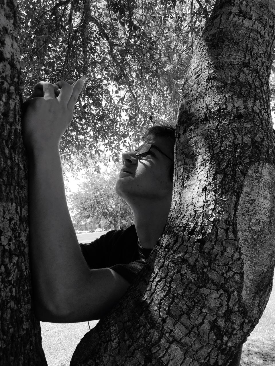 tree, tree trunk, real people, leisure activity, holding, one person, lifestyles, day, hugging, nature, outdoors, wireless technology, photographing, young adult, technology, beauty in nature, young women, close-up, human hand