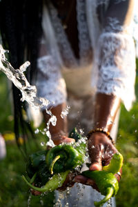 Close-up of wet plants