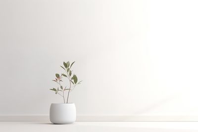 Potted plant on table