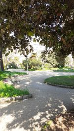 Street amidst trees in park