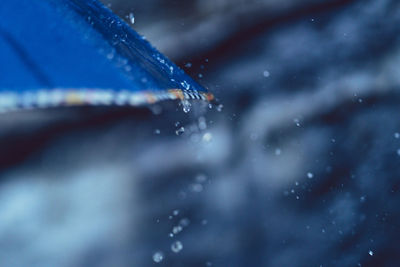 Close-up of wet blue rain