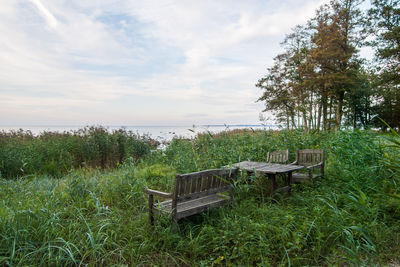 Chairs on grass by sea against sky