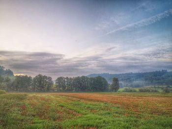 Scenic view of field against sky