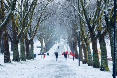 People walking on snow covered road amidst bare trees in city