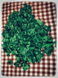 Directly above shot of green leaves on table