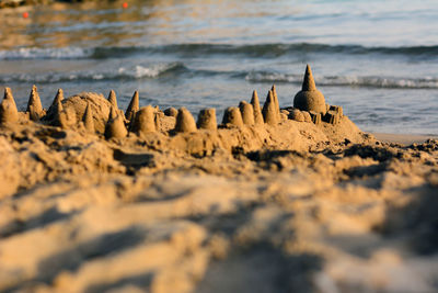 Panoramic view of a beach