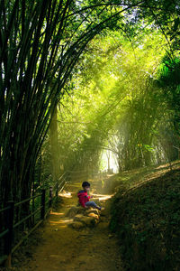 Girl sitting in forest