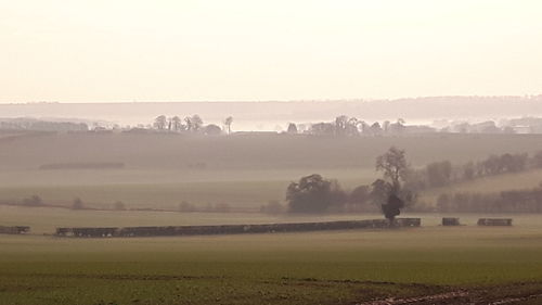 Scenic view of agricultural field against sky