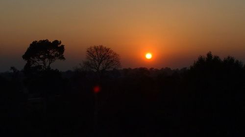 Silhouette of trees at sunset