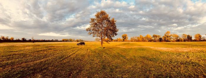 Scenic view of field against sky during autumn