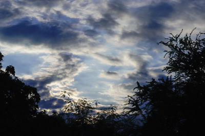 Low angle view of silhouette trees against sky during sunset