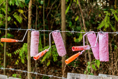 Close-up of clothes drying on clothesline